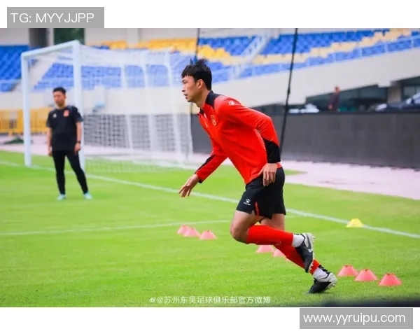 西安乒乓球队在挑战赛中的默契配合与战术分析